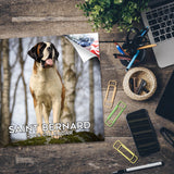 St Bernard Wall Calendar 2026