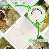 St Bernard Wall Calendar 2026