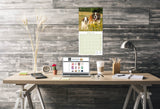 St Bernard Wall Calendar 2026
