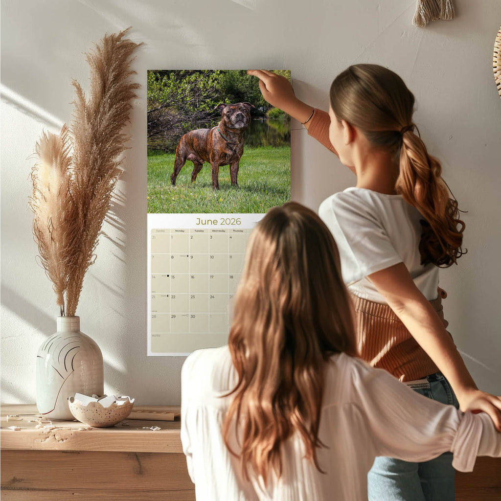 Staffordshire Bull Terrier Wall Calendar 2026