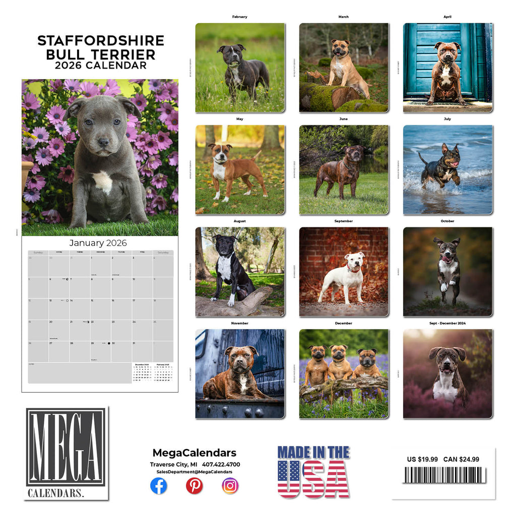 Staffordshire Bull Terrier Wall Calendar 2026
