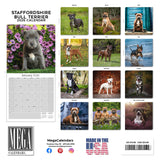 Staffordshire Bull Terrier Wall Calendar 2026