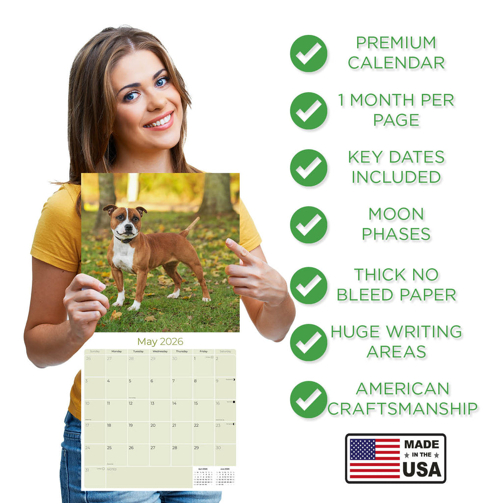 Staffordshire Bull Terrier Wall Calendar 2026