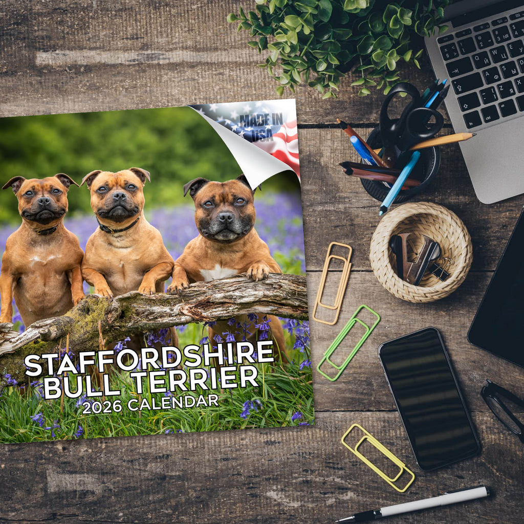 Staffordshire Bull Terrier Wall Calendar 2026