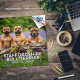 Staffordshire Bull Terrier Wall Calendar 2026