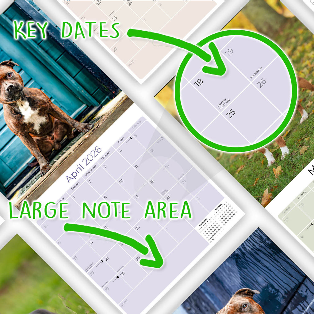 Staffordshire Bull Terrier Wall Calendar 2026