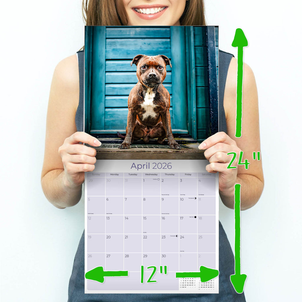 Staffordshire Bull Terrier Wall Calendar 2026