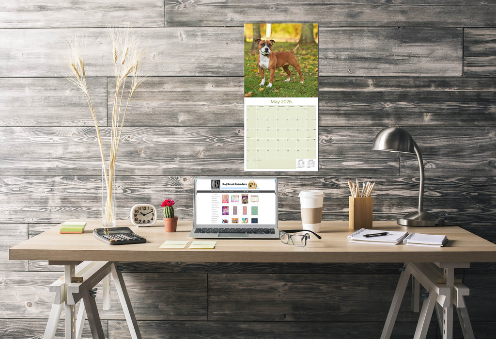 Staffordshire Bull Terrier Wall Calendar 2026