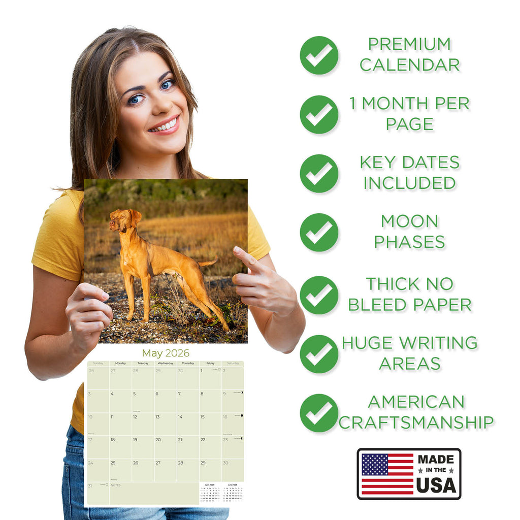 Vizsla Wall Calendar 2026