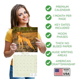 Vizsla Wall Calendar 2026