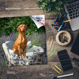 Vizsla Wall Calendar 2026