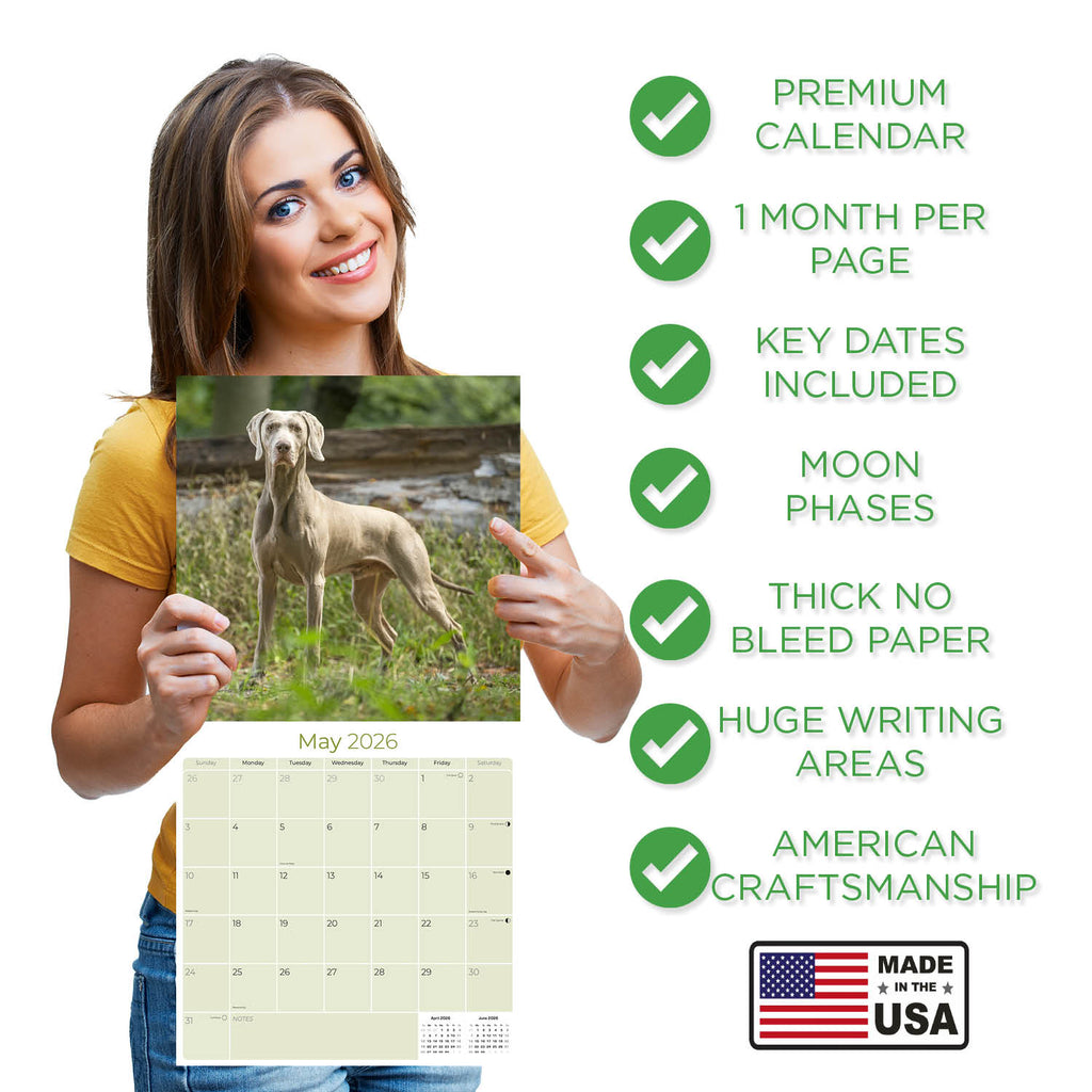 Weimaraner Wall Calendar 2026