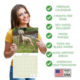 Weimaraner Wall Calendar 2026
