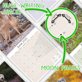 Weimaraner Wall Calendar 2026