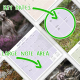 Weimaraner Wall Calendar 2026
