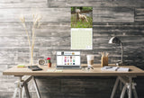 Weimaraner Wall Calendar 2026