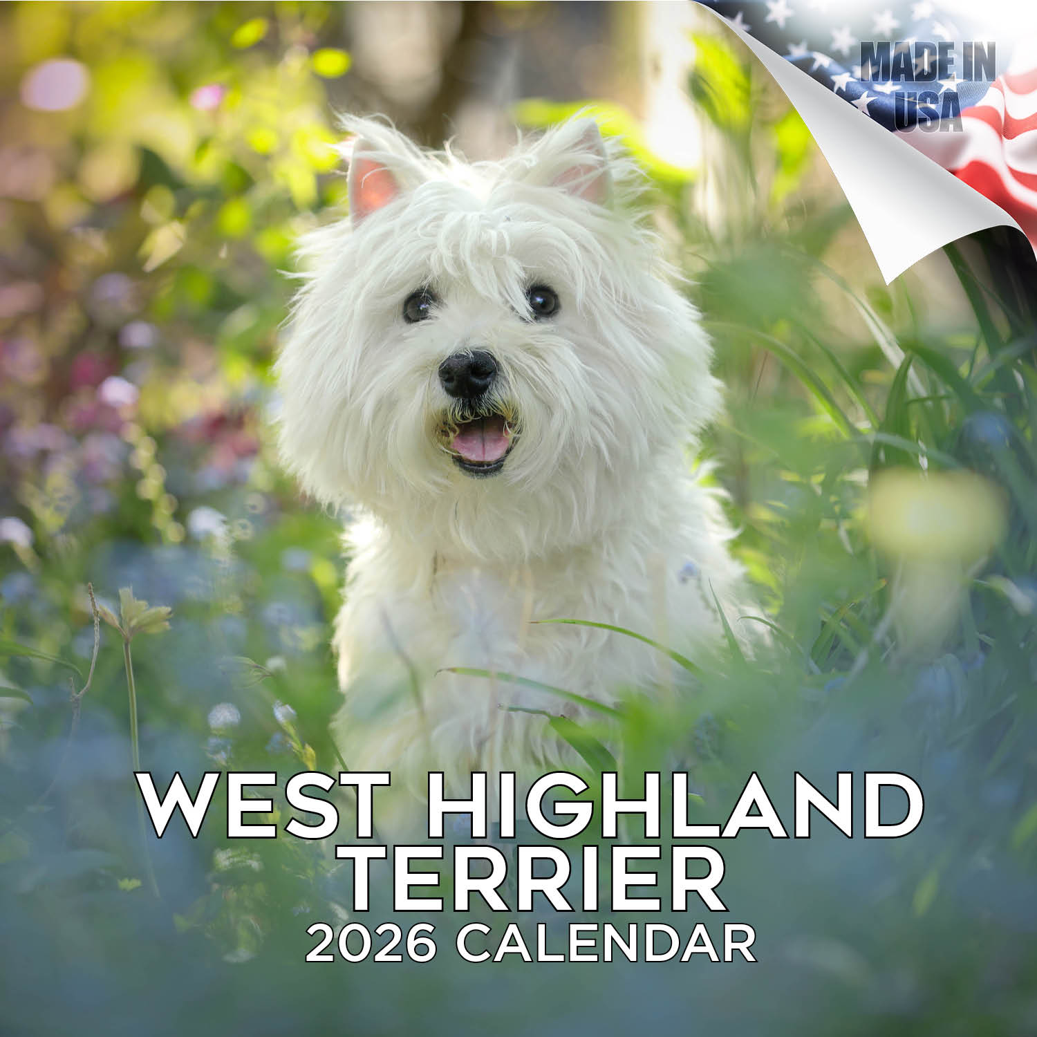 West Highland Terrier Wall Calendar 2026