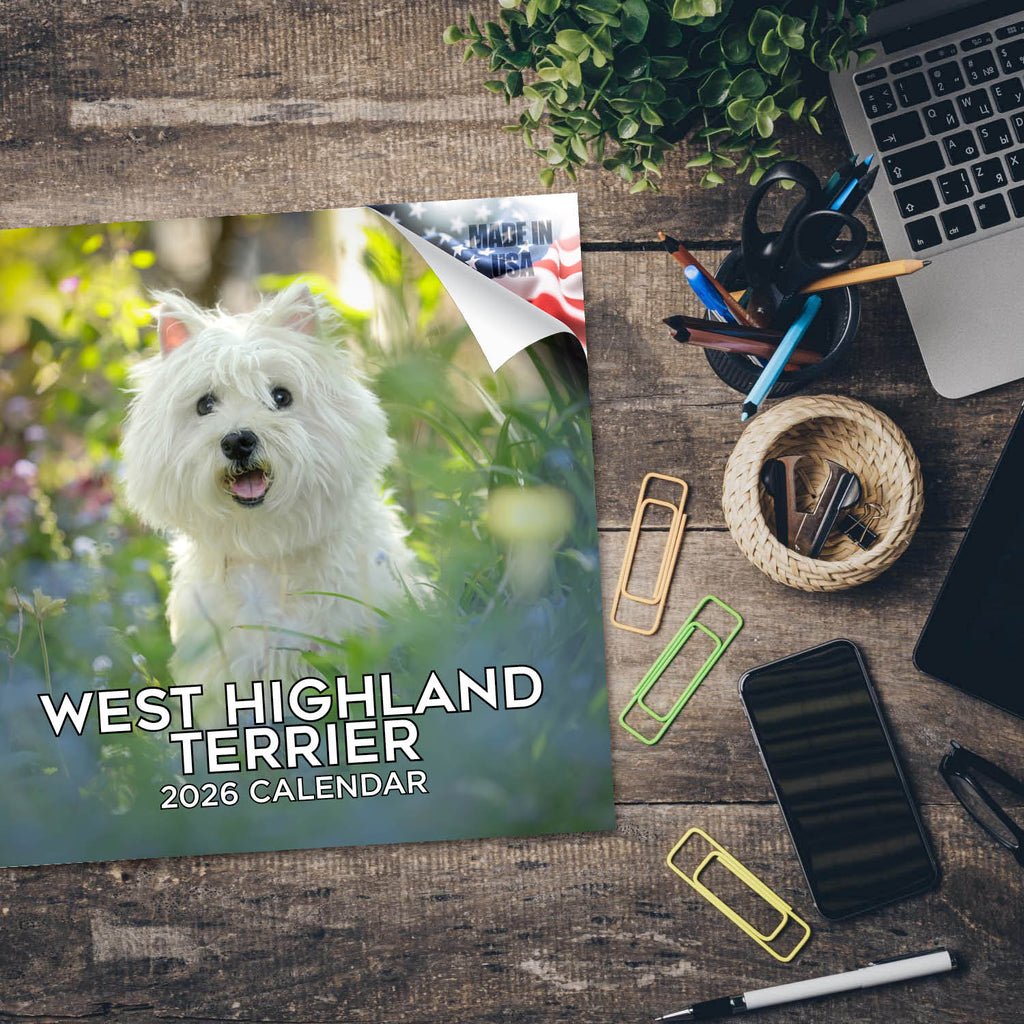 West Highland Terrier Wall Calendar 2026