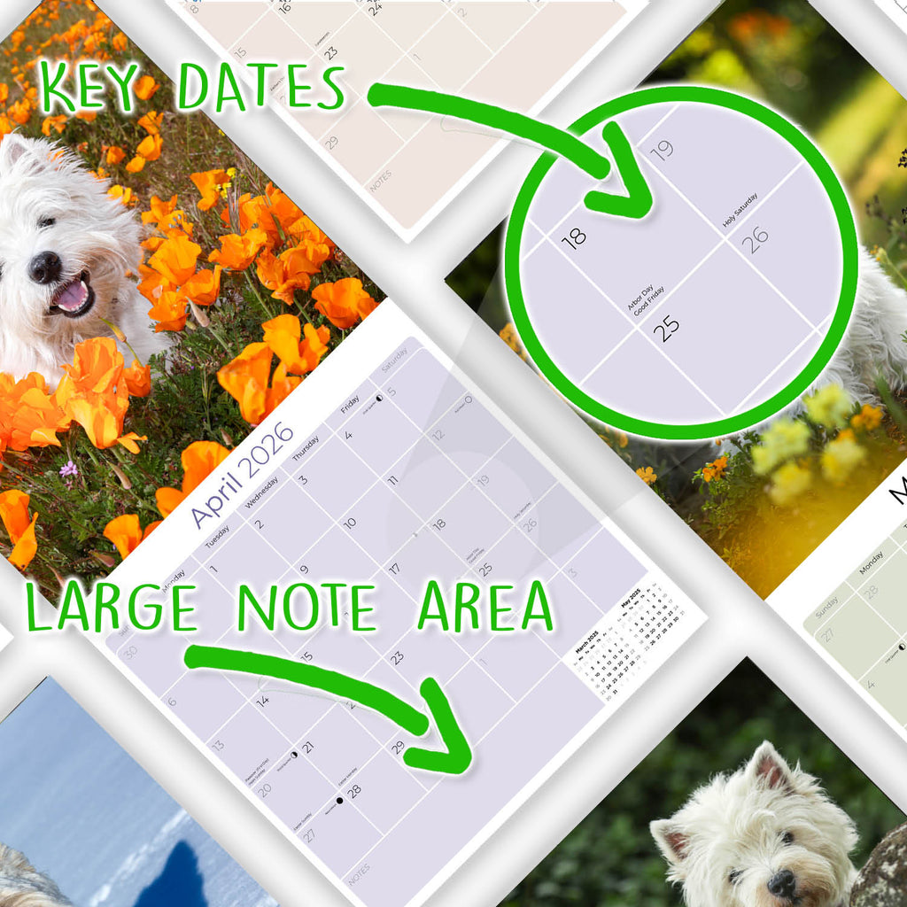 West Highland Terrier Wall Calendar 2026