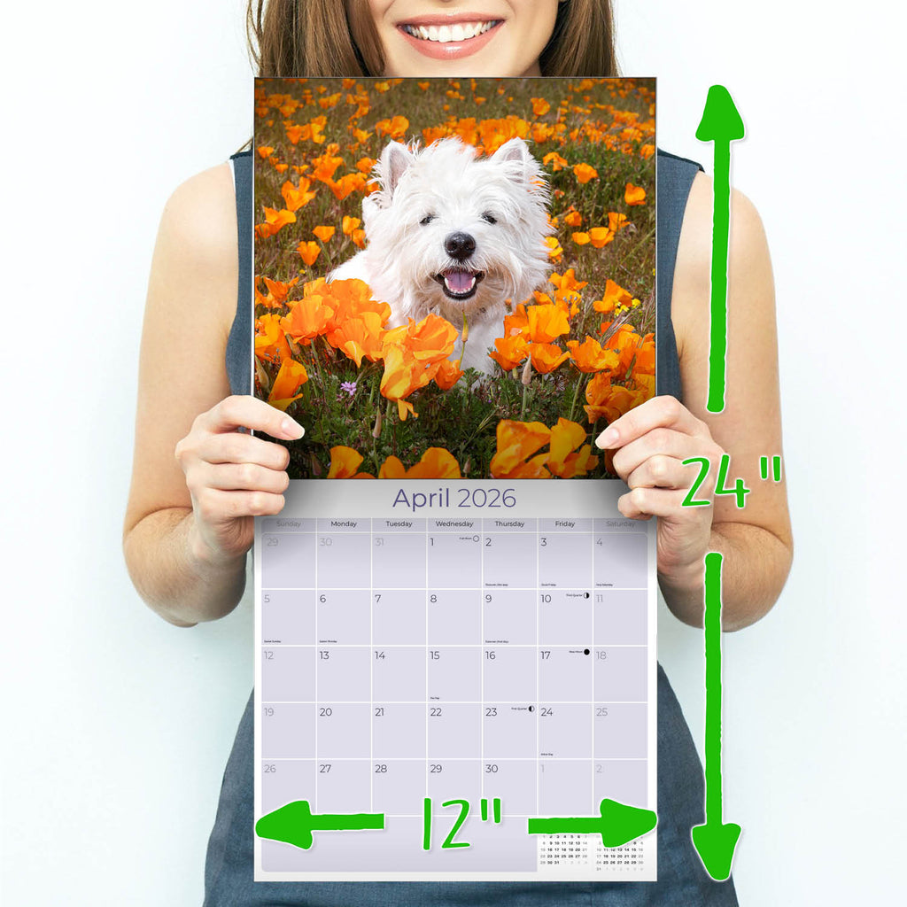 West Highland Terrier Wall Calendar 2026