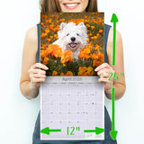 West Highland Terrier Wall Calendar 2026