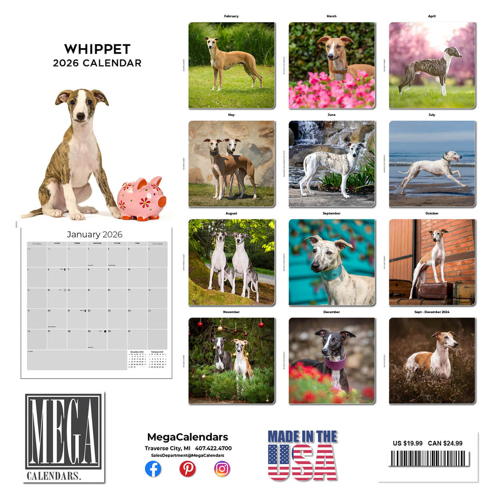 Whippet Wall Calendar 2026