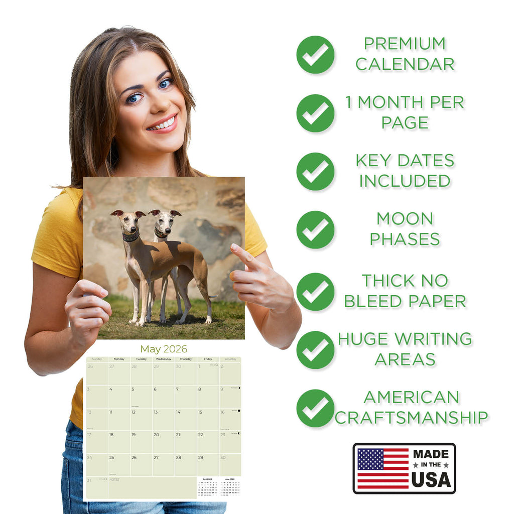 Whippet Wall Calendar 2026