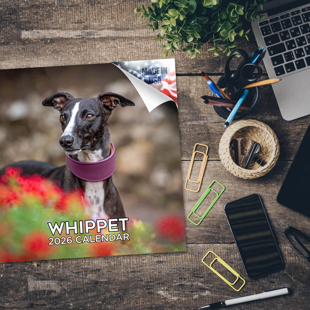 Whippet Wall Calendar 2026