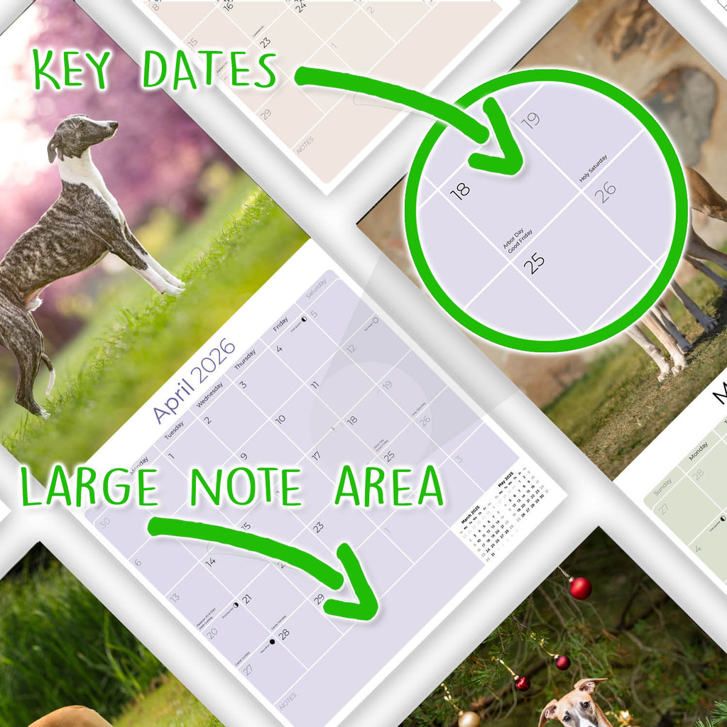 Whippet Wall Calendar 2026