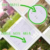 Whippet Wall Calendar 2026