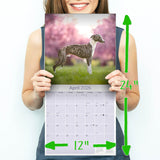 Whippet Wall Calendar 2026
