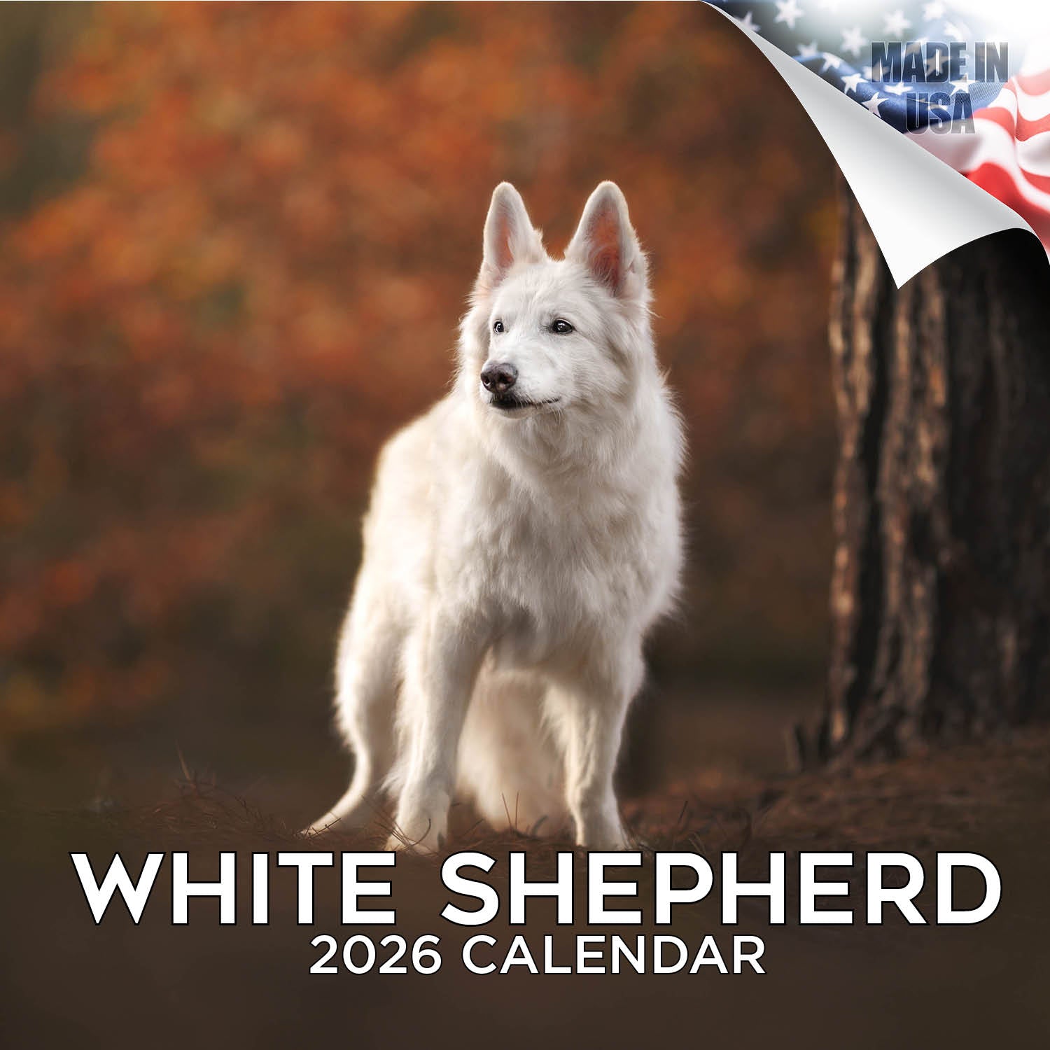 White Shepherd Wall Calendar 2026