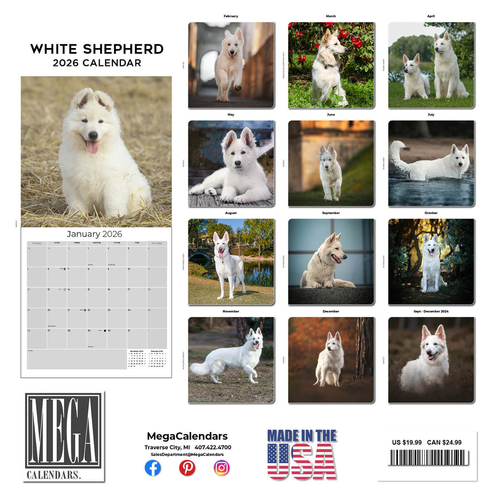 White Shepherd Wall Calendar 2026