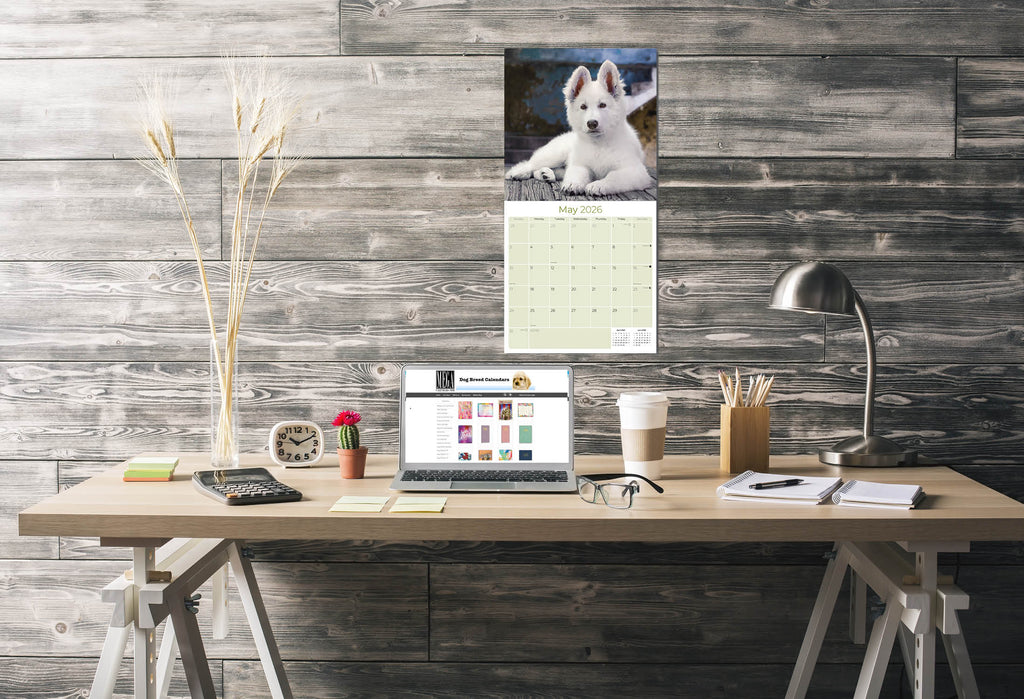 White Shepherd Wall Calendar 2026