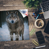 Wolves Wall Calendar 2026