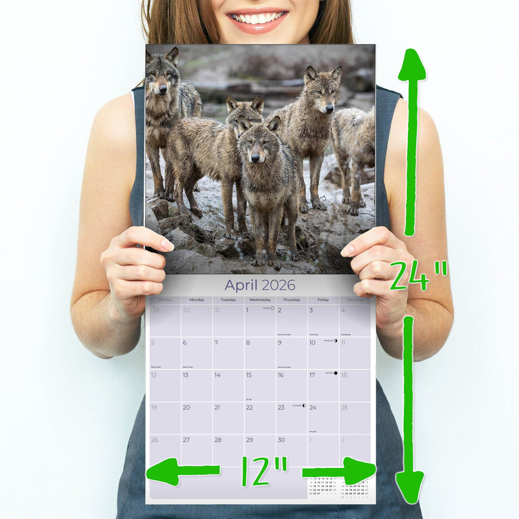 Wolves Wall Calendar 2026