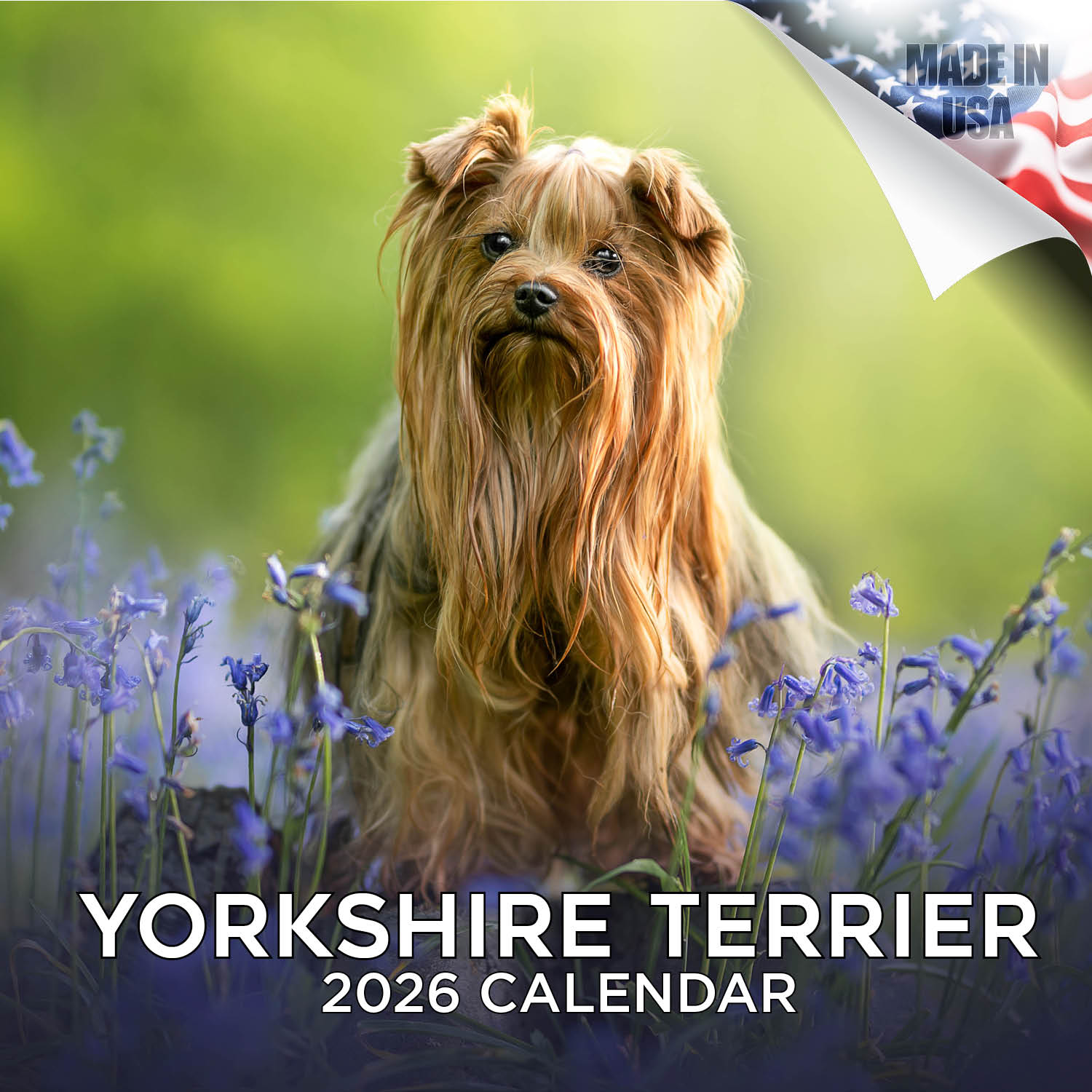 Yorkshire Terrier Wall Calendar 2026