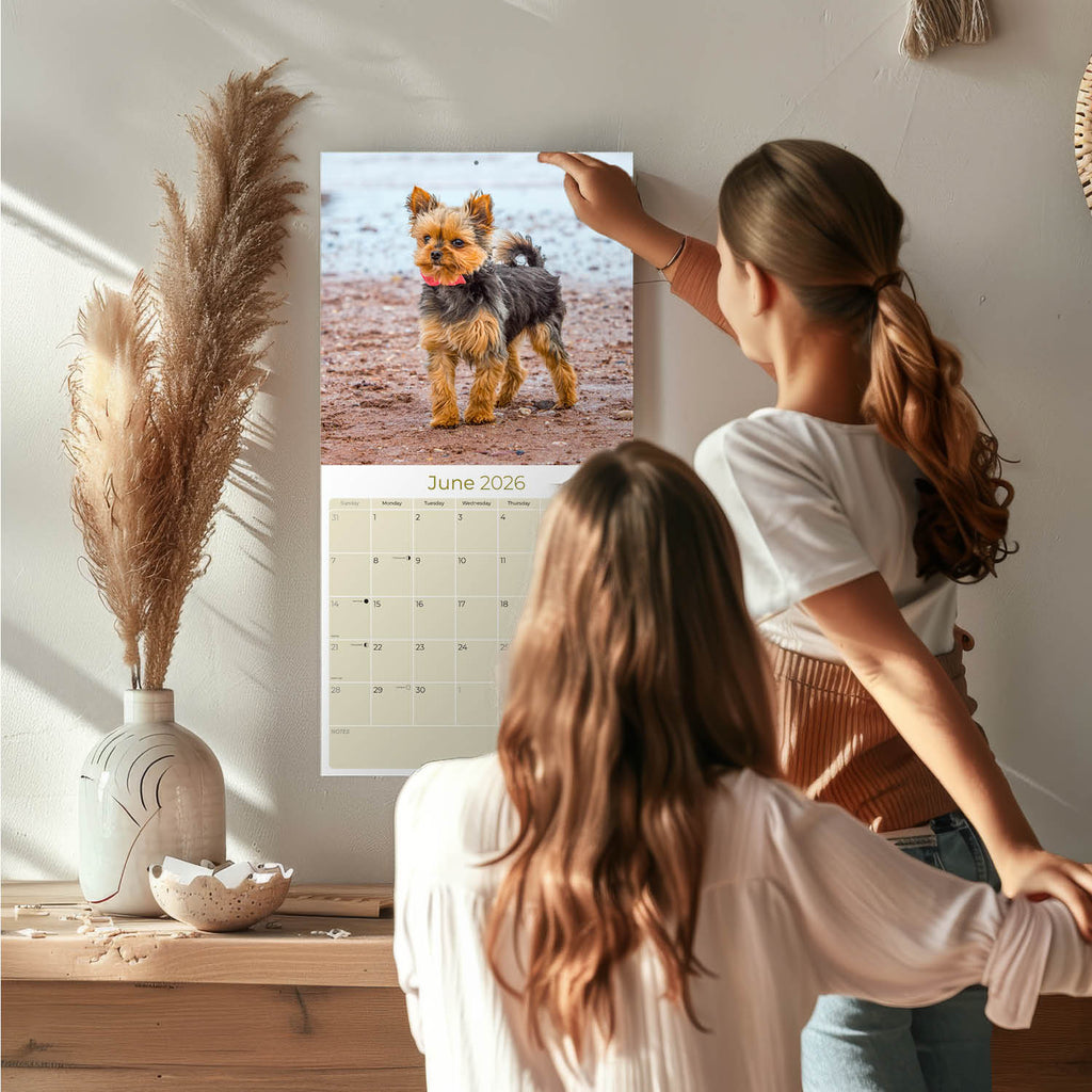 Yorkshire Terrier Wall Calendar 2026