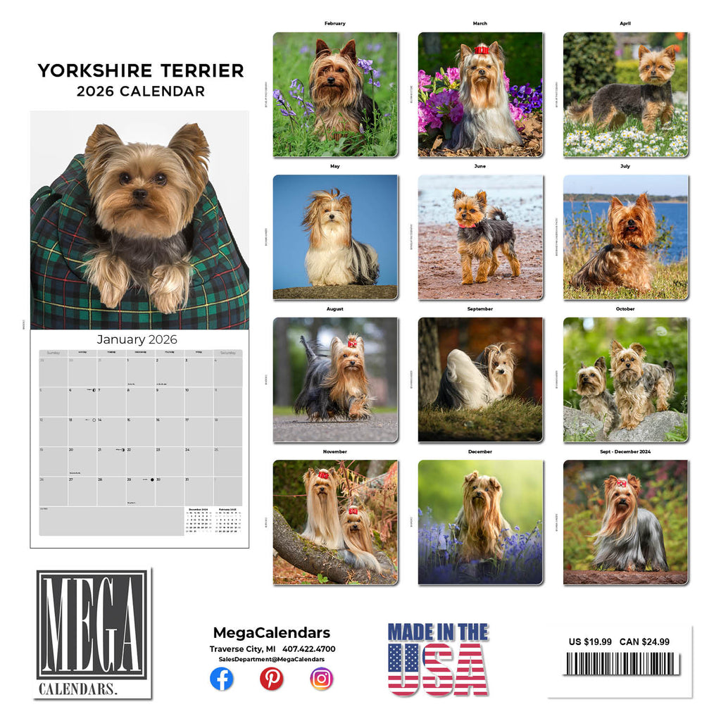 Yorkshire Terrier Wall Calendar 2026