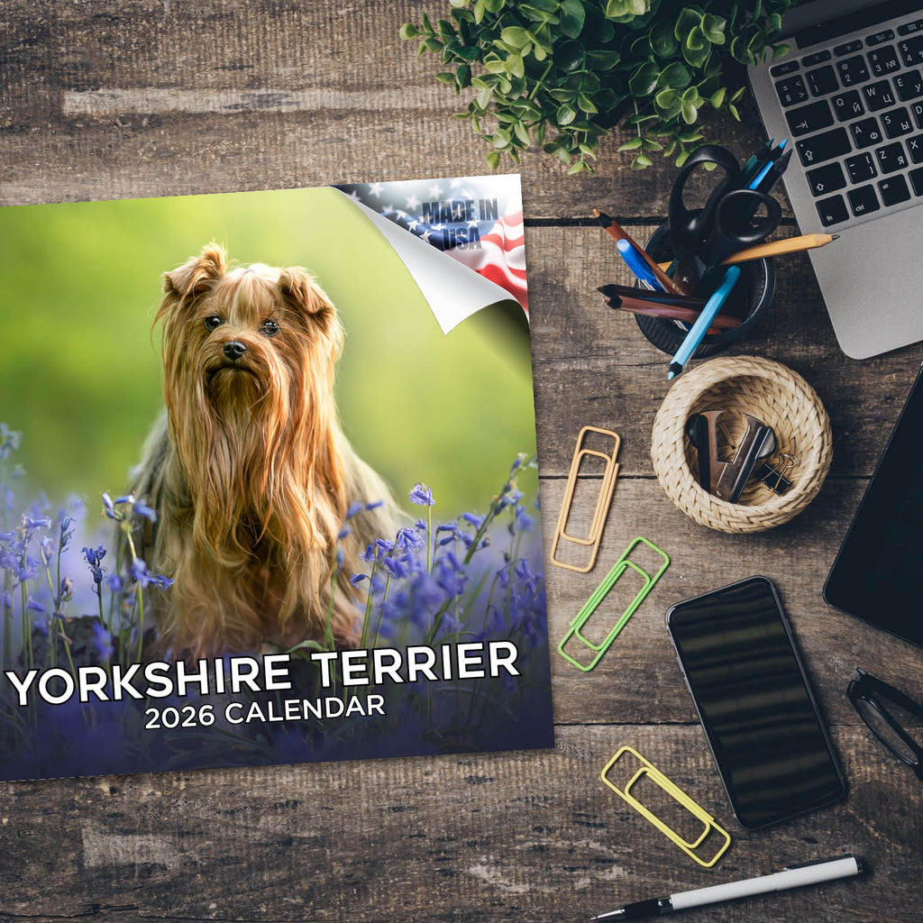 Yorkshire Terrier Wall Calendar 2026