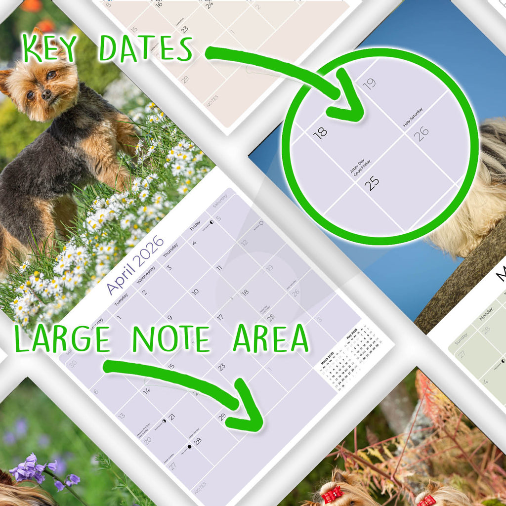 Yorkshire Terrier Wall Calendar 2026