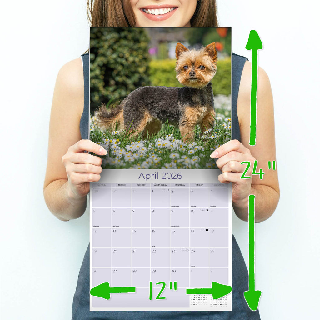 Yorkshire Terrier Wall Calendar 2026