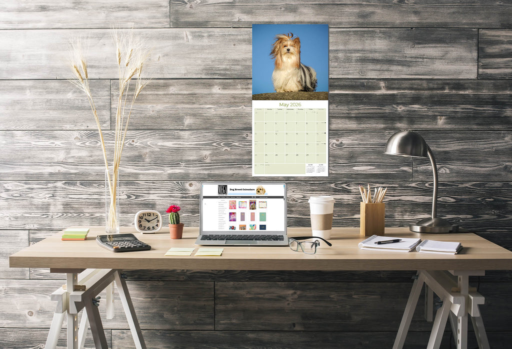 Yorkshire Terrier Wall Calendar 2026