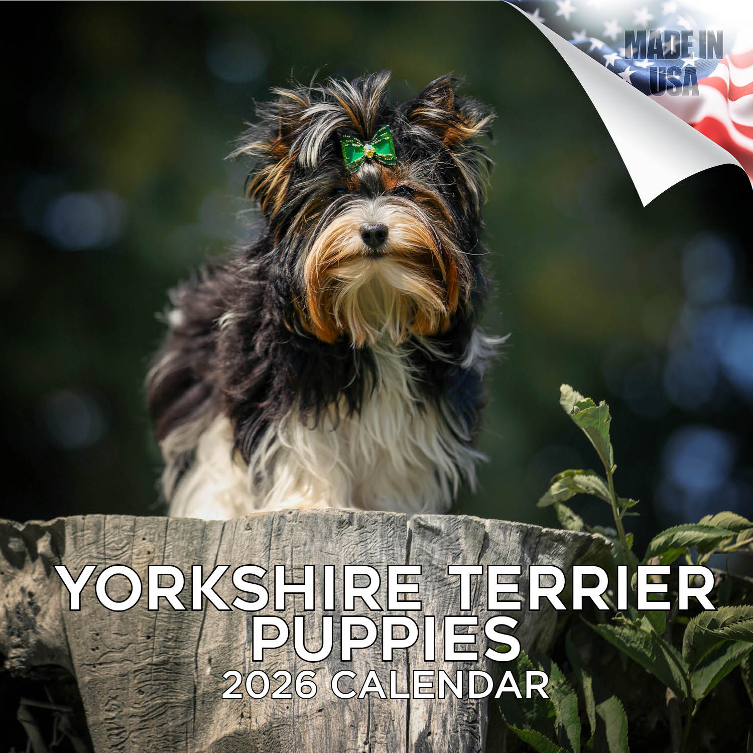 Yorkshire Terrier Puppies Calendar 2026