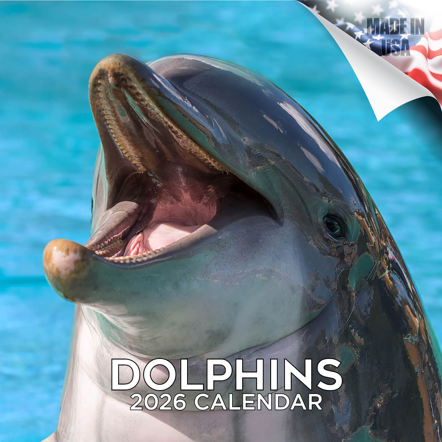 Dolphins Wall Calendar 2026