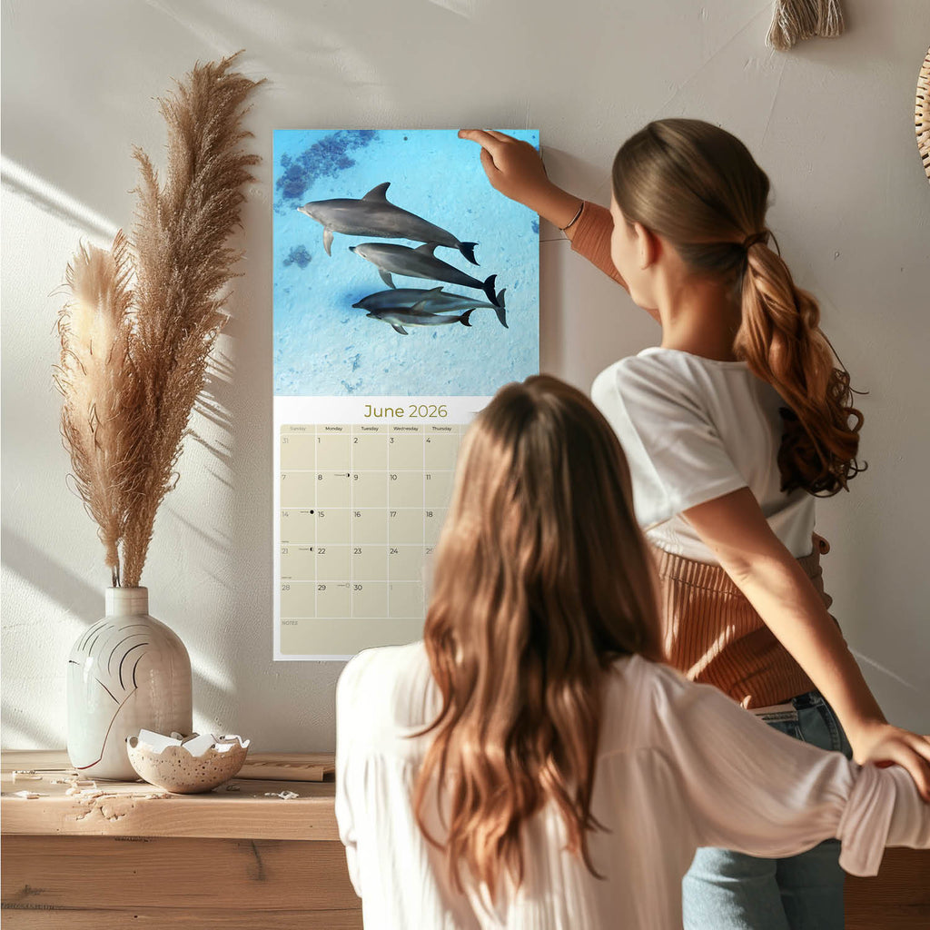 Dolphins Wall Calendar 2026