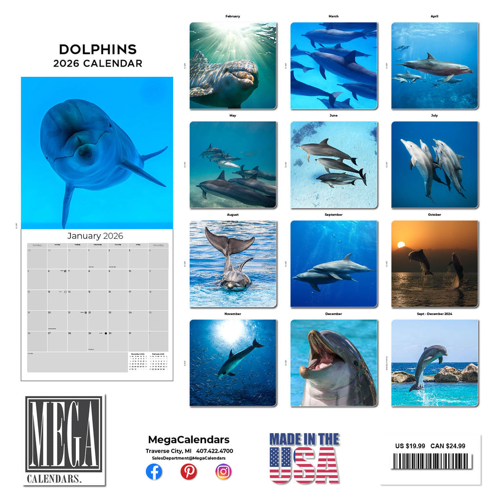 Dolphins Wall Calendar 2026