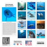 Dolphins Wall Calendar 2026