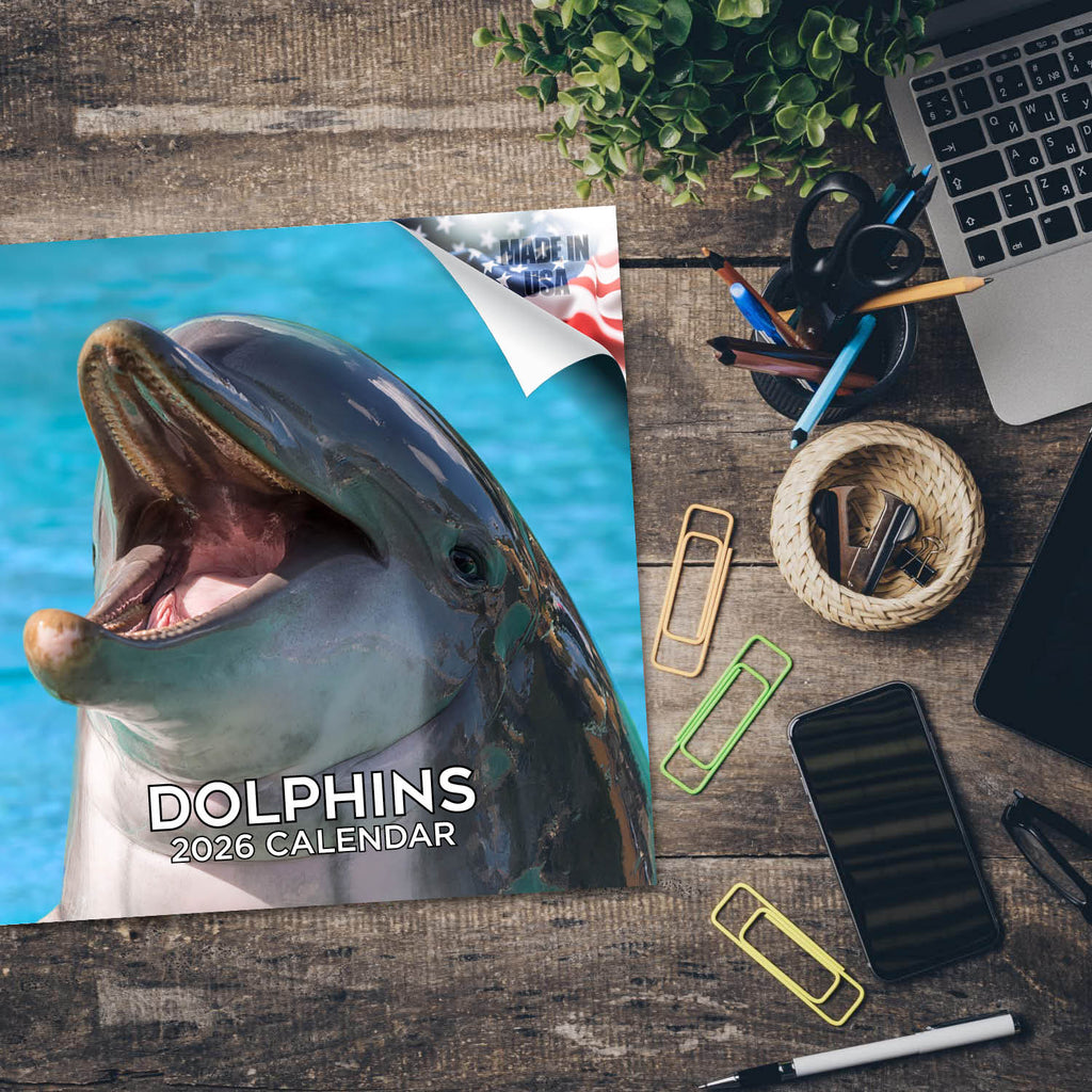 Dolphins Wall Calendar 2026