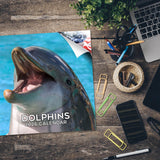 Dolphins Wall Calendar 2026